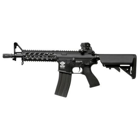 EGC-16P-RDS-BNB-NCM CM16 Raider