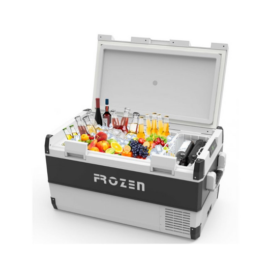 FROZEN COOLER FC-100